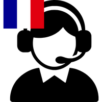 SAV en français